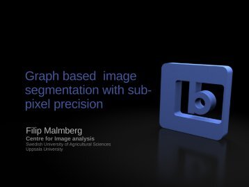 Graph based image segmentation with sub- pixel precision
