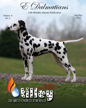 Download edition in PDF - E Dalmatians