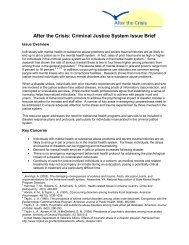 Criminal Justice System Issue Brief - SAMHSA'S GAINS Center for ...