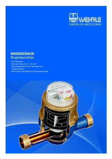 WASSERZÄHLER Ringkolbenzähler - Wehrle