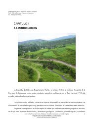 CAPITULO I - Editorial Cientifica - Universidad Nacional de Catamarca