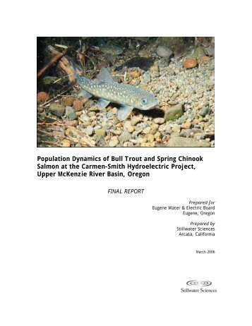 Population Dynamics of Bull Trout and Spring Chinook Salmon at ...