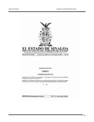 Prospecto de Colocación de Deuda Pública (segunda parte)