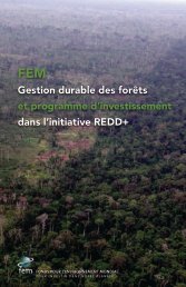 Gestion durable des forÃªts et programme d ... - UN CC:Learn