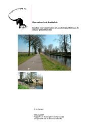 2007.13 Vleerm. in de Grebbelinie 1. Rapport_0.pdf - Zoogdierwinkel