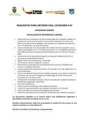 requisitos para visa 9-iv