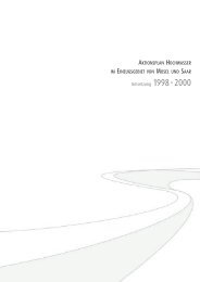 Umsetzung des Aktionsplans Hochwasser 1998-2000 - iksms