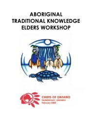 aboriginal traditional knowledge elders workshop - Chiefs of Ontario