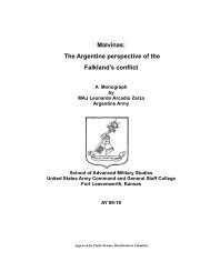 The Argentine perspective of the Falkland's conflict - Defense ...
