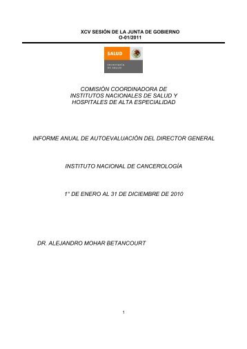 Informe de AutoevaluaciÃ³n 01-2011 - Instituto Nacional de ...