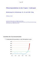 2. C3 und C4 sowie CAM Weg - Lossl.de