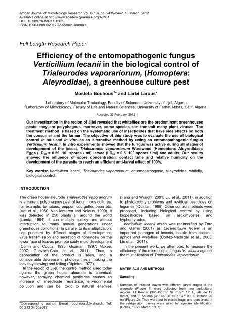 Efficiency of the entomopathogenic fungus Verticillium lecanii in the ...