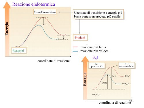 2 - ITIS E. Divini