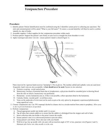 Venipuncture Procedure.fm - Mayo Medical Laboratories