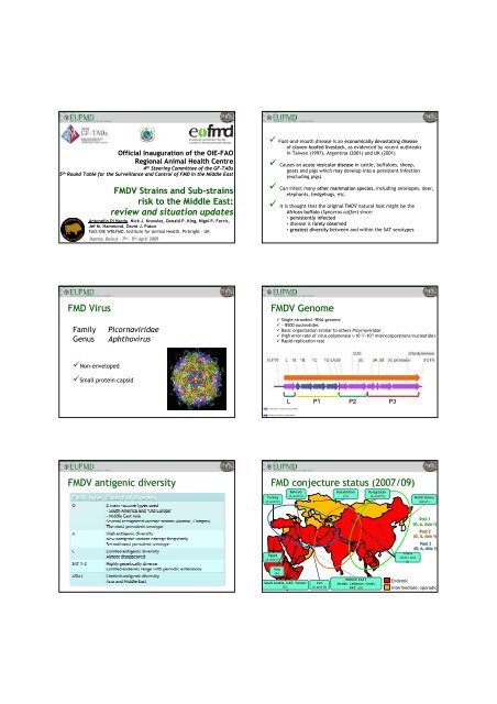 FMD Virus FMDV Genome FMDV antigenic ... - Middle East - OIE