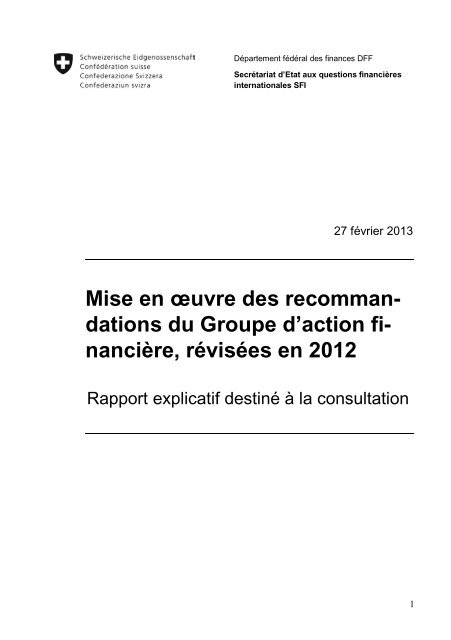 GAFI: Rapport explicatif destinÃ© Ã  la consultation - VSV