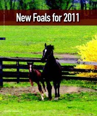 New Foals For 2011 - The Thoroughbred Breeders' Association of ...