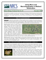 Using Micro and Macrotopography in Wetland Restoration