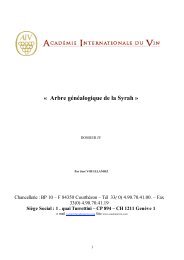 « Arbre généalogique de la Syrah » - Academia-vinhaevinho.com