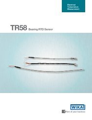 TR58 Bearing RTD Sensor - WIKA