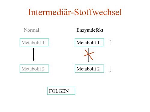 Therapie von angeborenen Stoffwechselerkrankungen