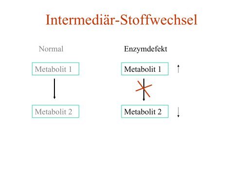 Therapie von angeborenen Stoffwechselerkrankungen