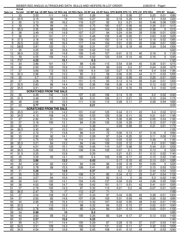 ultrasound data (pdf) - Bieber Red Angus Ranch