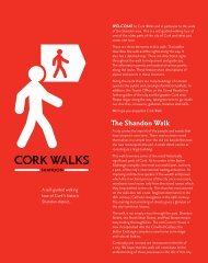 The Shandon Walk