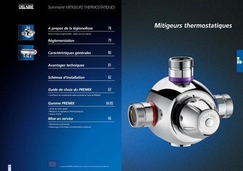 MITIGEUR THERMOSTATIQUE DELABIE PREMIX 3/4