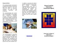 Information - ACVA Diplomate Anesthesia Brochure - Purdue ...