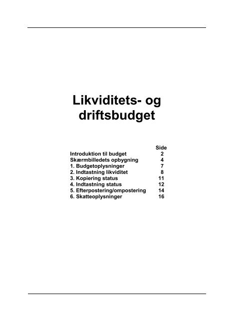 2. Likviditets- og driftsbudget - DLBR IT