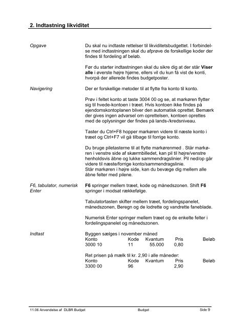 2. Likviditets- og driftsbudget - DLBR IT