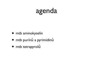 Ã¢Â€Â¢ mtb aminokyselÃƒÂ­n Ã¢Â€Â¢ mtb purÃƒÂ­nÃ…Â¯ a pyrimidinÃ…Â¯ Ã¢Â€Â¢ mtb tetrapyrolÃ…Â¯