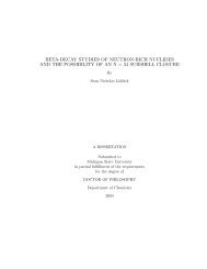 thesis - National Superconducting Cyclotron Laboratory - Michigan ...