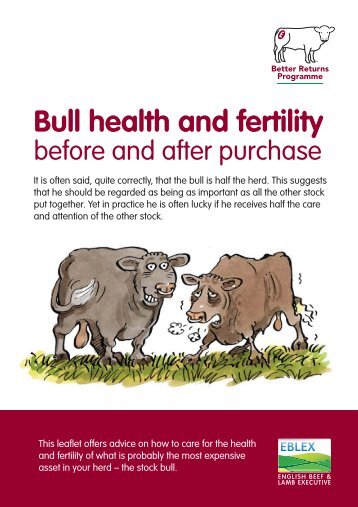 263955 Bull Health & Fert:Layout 1 - Eblex