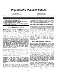 Insects & Weeds in Focus - Texas A&M AgriLife - Texas A&M ...