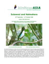 Birdtour Asia Sulawesi and Halmahera
