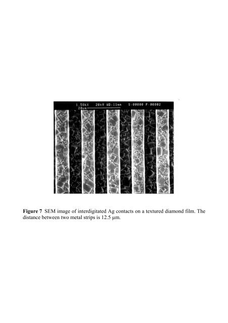 Diamond-based UV and soft X-ray photodetectors E. Pace Dip. di ...