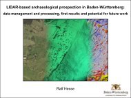 Baden-Württemberg LIDAR Project - AARG 2010