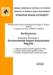 Eth APL4 EIAs Executiuve Summary - Aiga Forum, an Ethiopian ...
