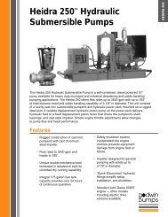 Heidra 250 PDF - Godwin Pumps