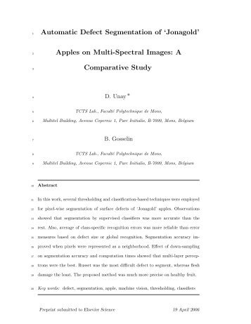 Automatic Defect Segmentation of 'Jonagold' Apples on ... - TCTS Lab