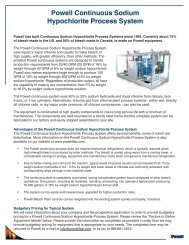 Powell Continuous Sodium Hypochlorite Process System