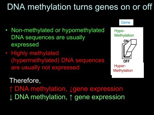 Epigenetics - LSUHSC Human Development Center