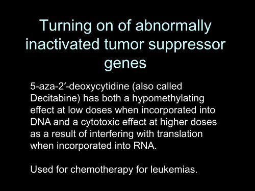 Epigenetics - LSUHSC Human Development Center