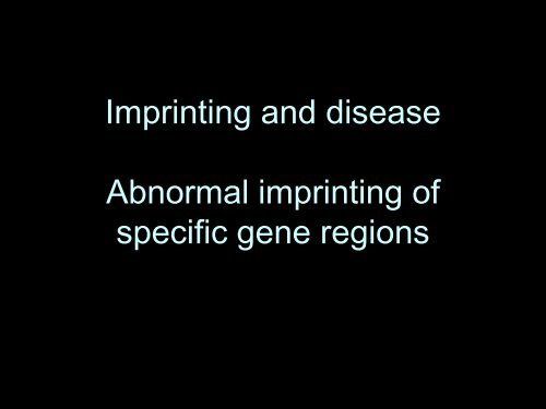 Epigenetics - LSUHSC Human Development Center