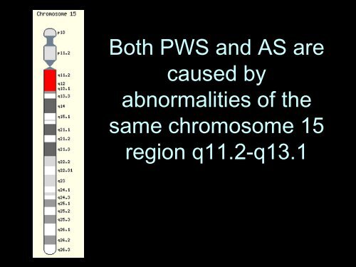 Epigenetics - LSUHSC Human Development Center