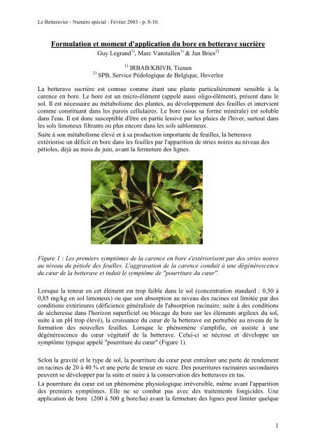 La carence en bore compromet le dÃ©veloppement des plantes de ...