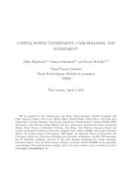 capital supply uncertainty, cash holdings, and investment