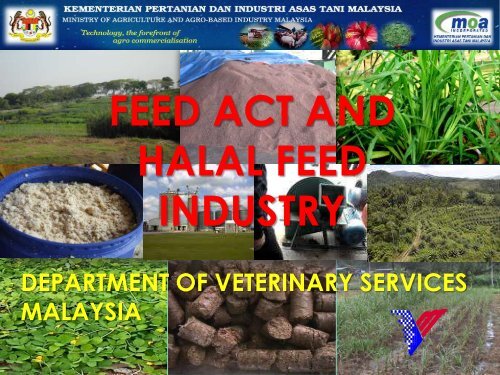 FEED ACT AND HALAL FEED INDUSTRY - hdc